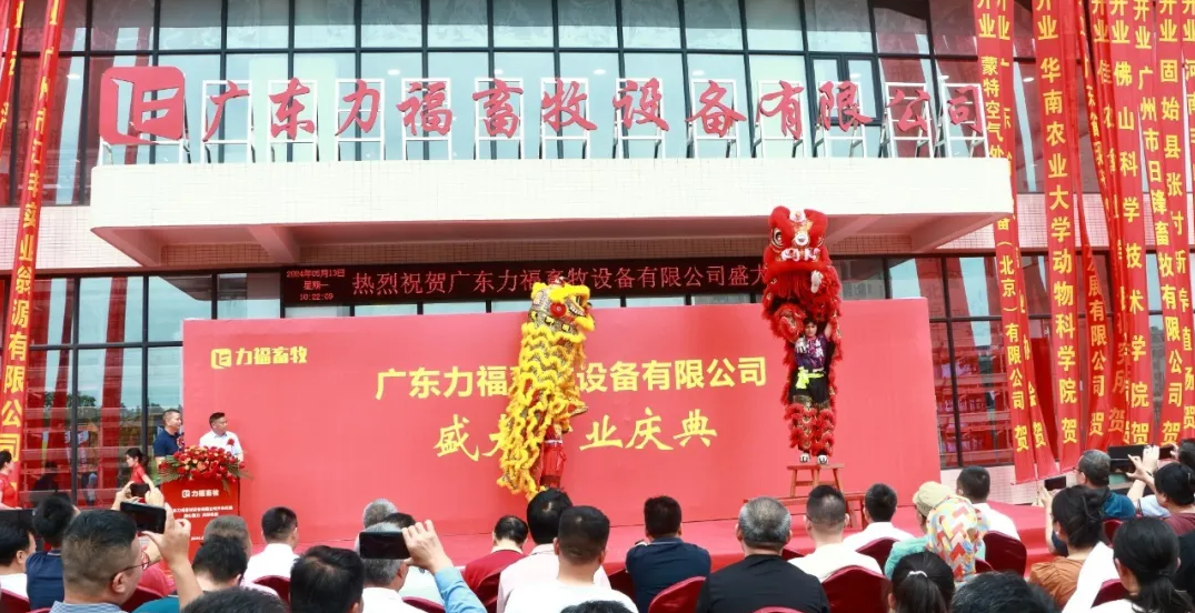 香港现场直播结果开奖