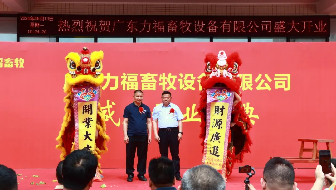 香港现场直播结果开奖