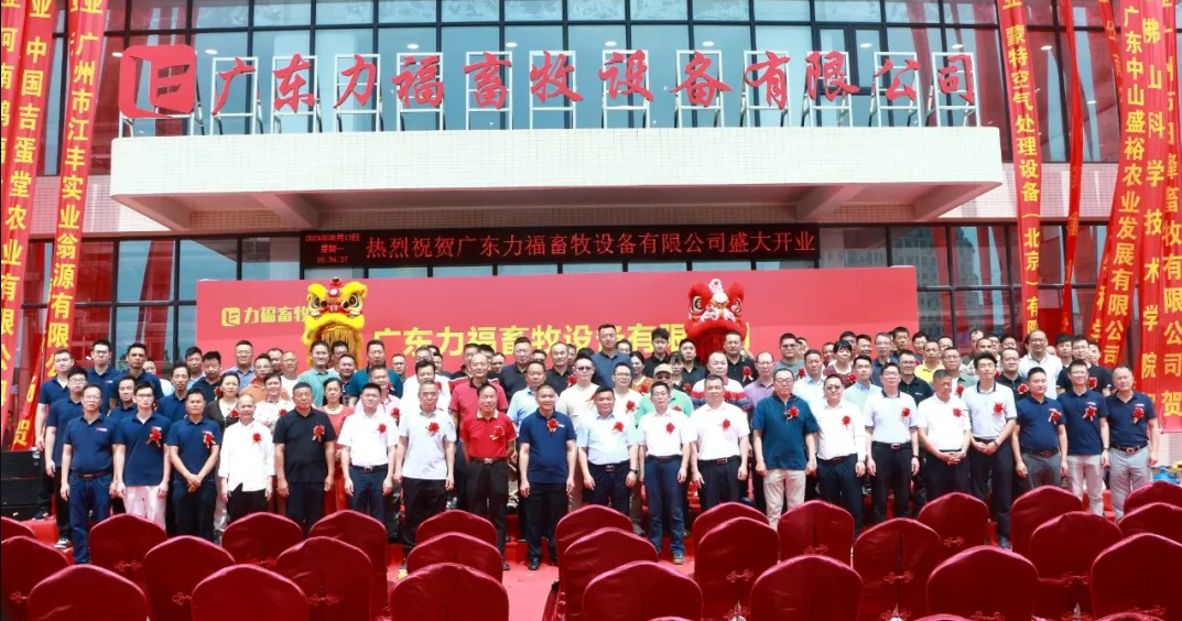 香港现场直播结果开奖